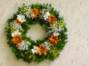 Jarní floristika 01