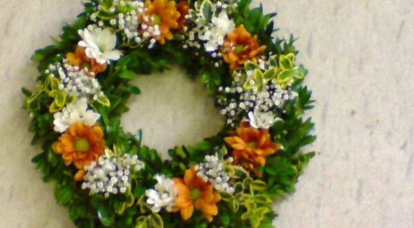 Jarní floristika 01