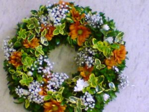 Jarní floristika 02